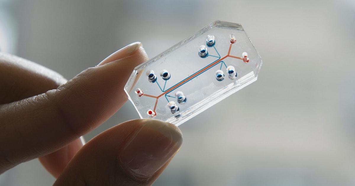 organ-on-a-chip